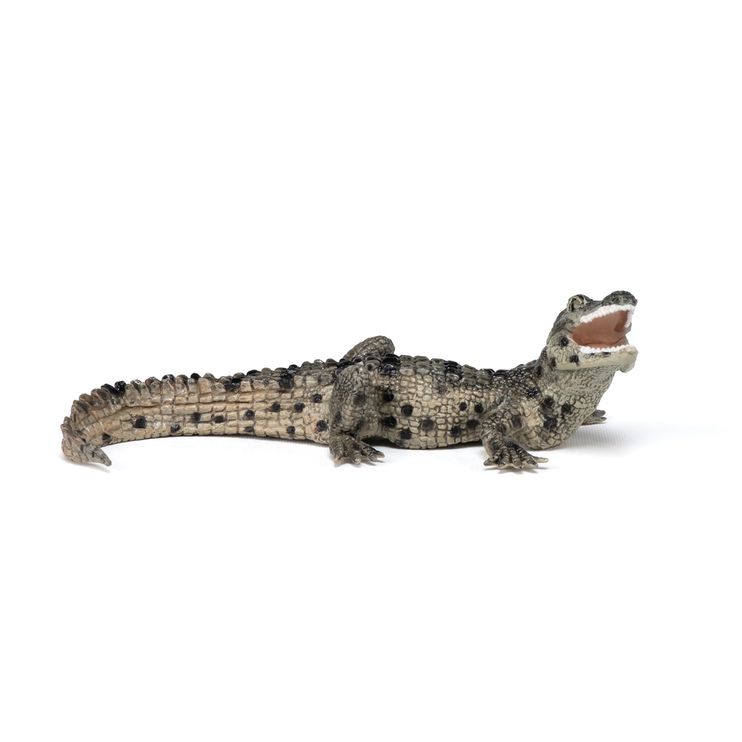 Miniature 1