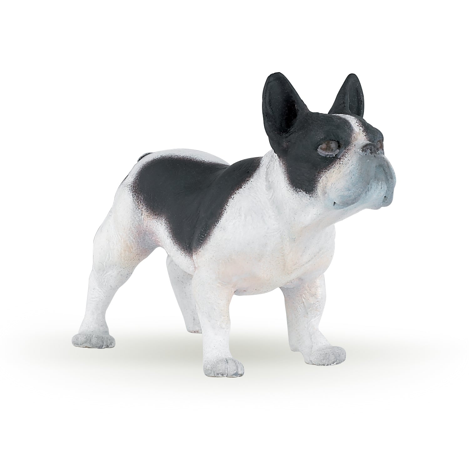 Miniature 1