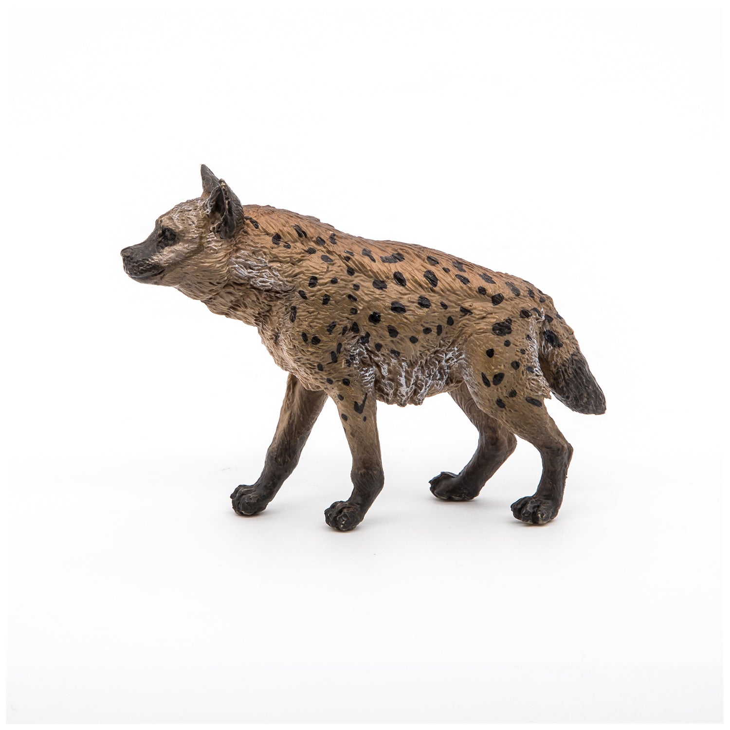 Miniature 1