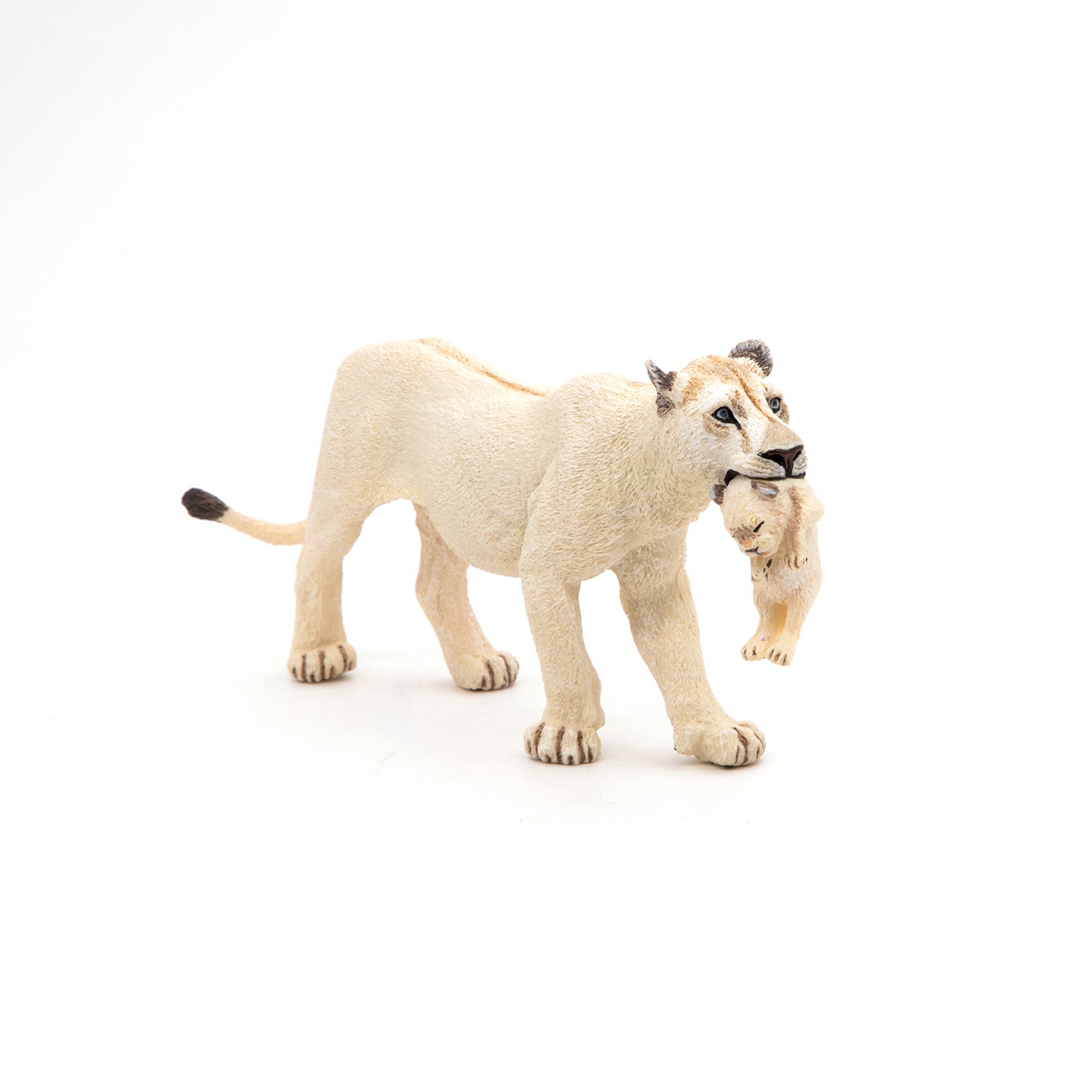 Miniature 1