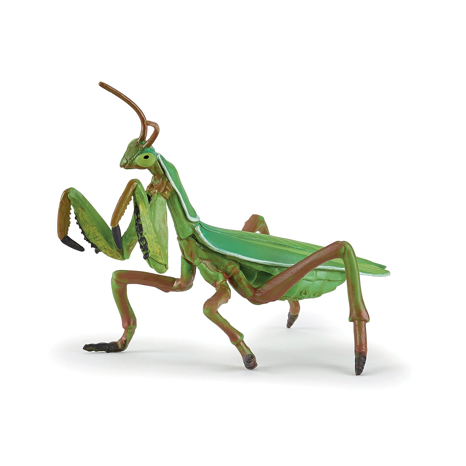 Miniature 1