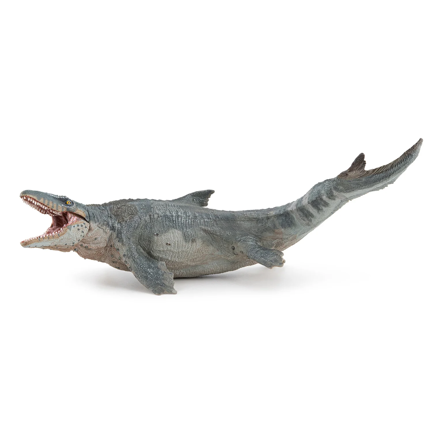Miniature 1